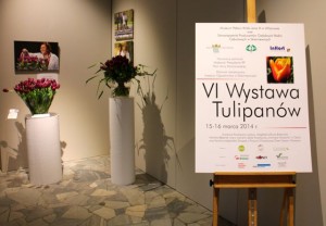 Wystawa tulipanów 